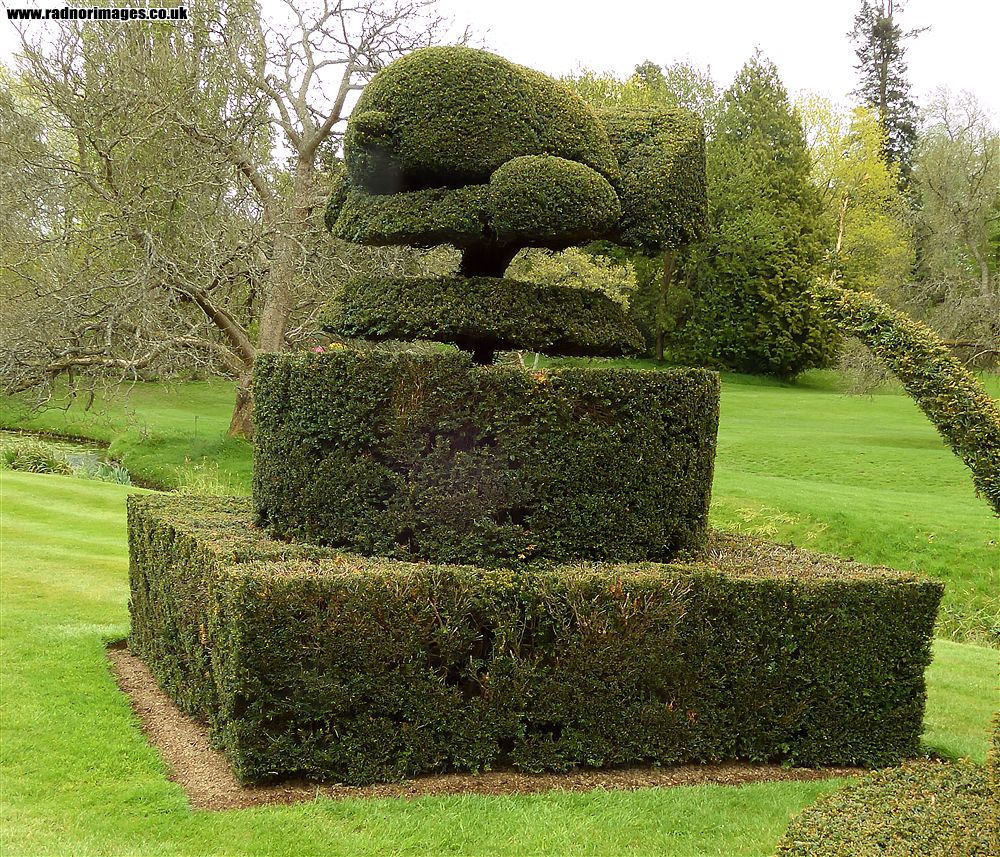 Hever