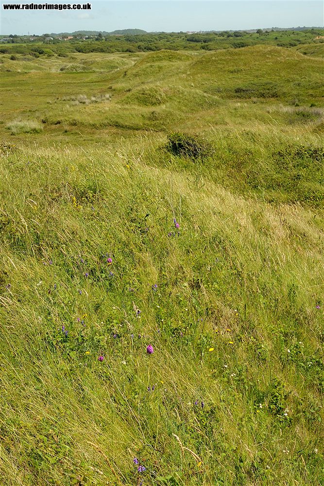 Kenfig