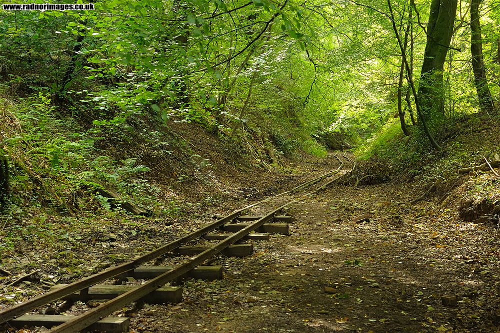 Lea Bailey Light Railway