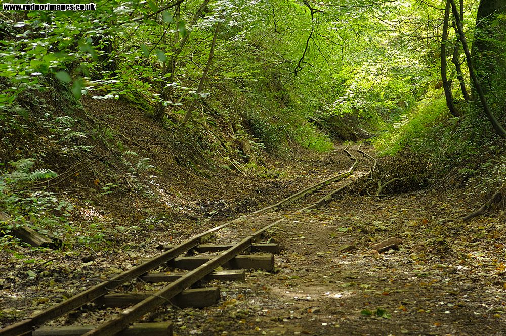 Lea Bailey Light Railway