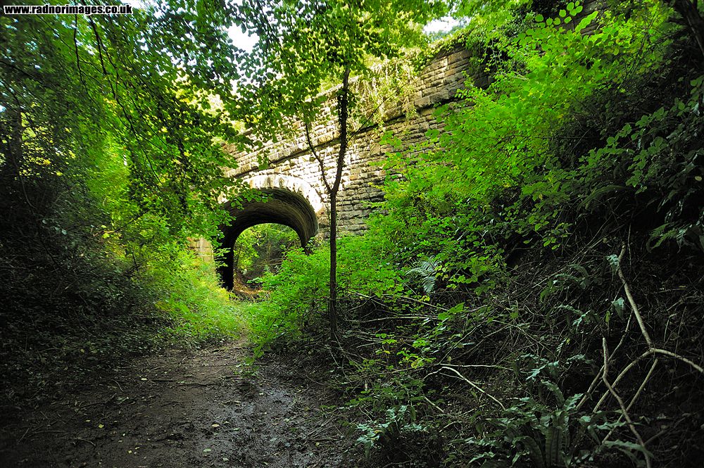 Lea Bailey Light Railway
