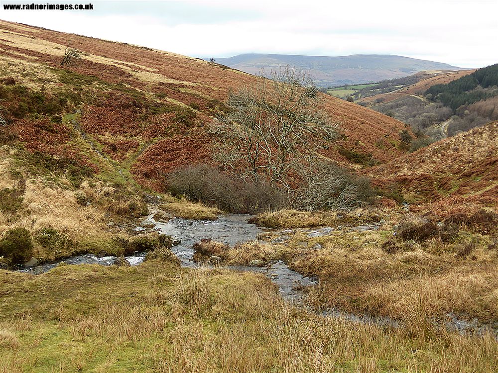Mynydd Llangynidr