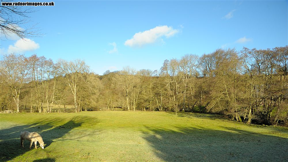 Newchurch