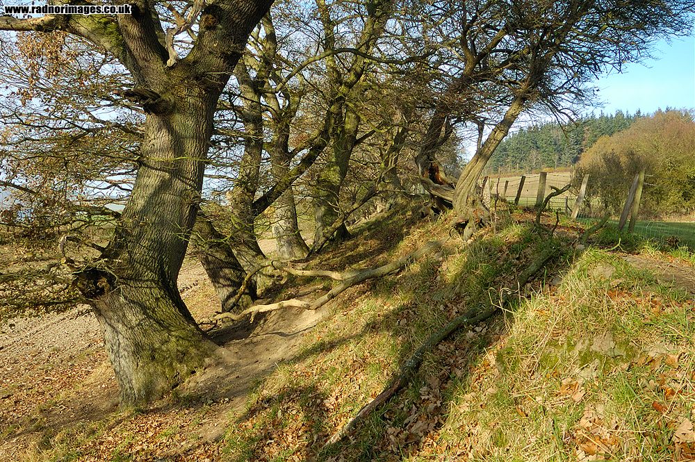 Offa's Dyke