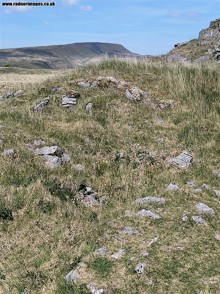 Ogof Ffynnon Ddu
