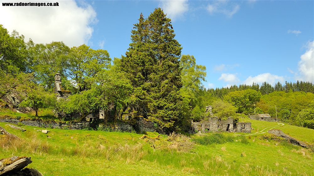 Rhiwddolion