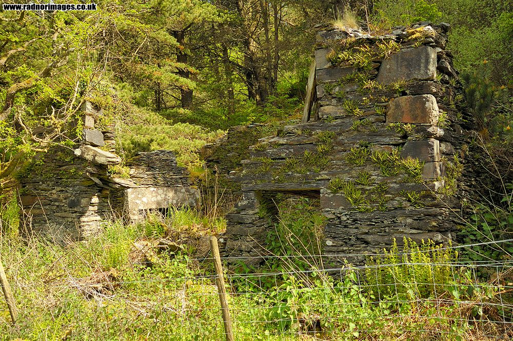 Rhiwddolion