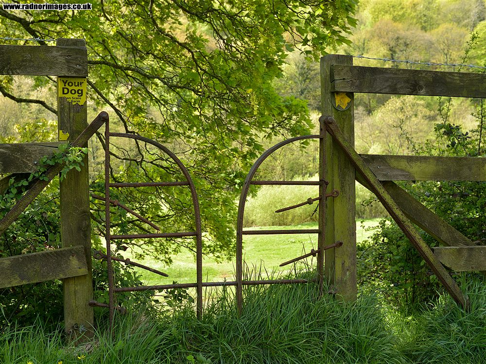 River Wye