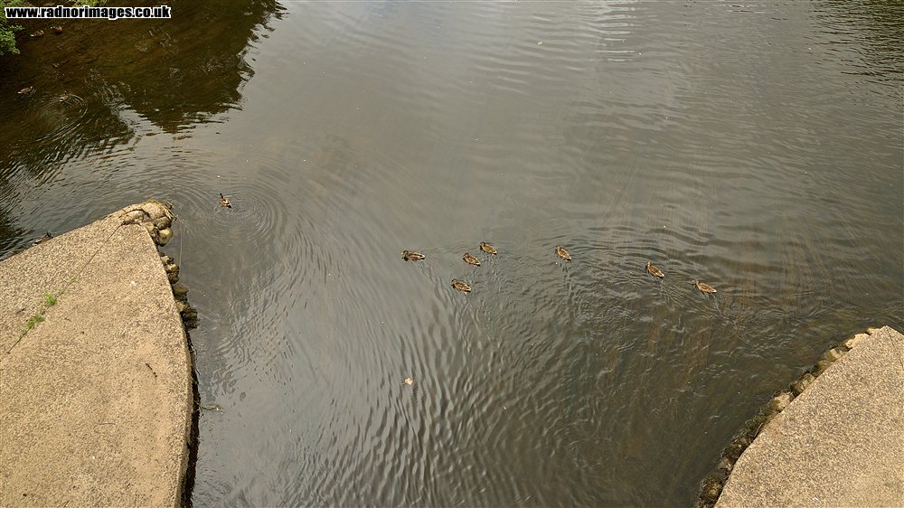 River Wye