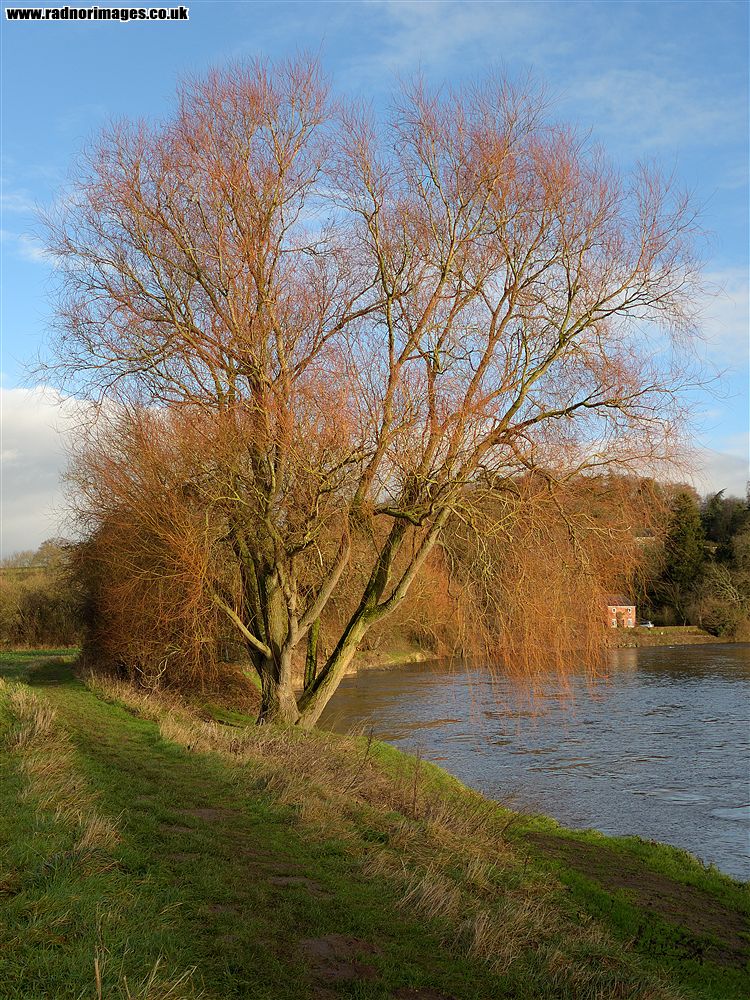River Wye