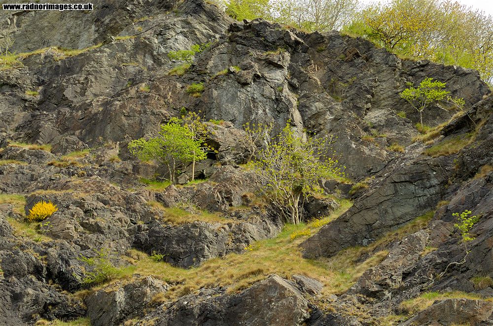 Stanner Rocks