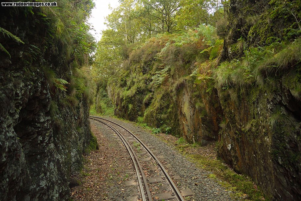 Vale of Rheidol Railway