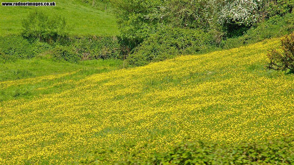 West Somerset Railway