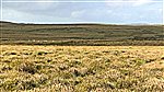 Waun Llywarch