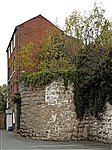 Remains of bastion