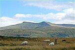 Pen y Fan