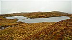 Lough Boy