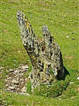 Standing stone