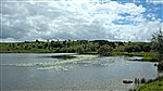 Llyn Caer-Euni