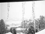 Icicles