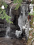 Login waterfall