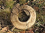 Ram's horn