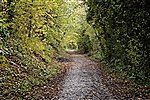 Path of old railway through Hay