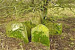Long Barrow at Ffostyll