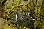 Waterfall Canrooska River