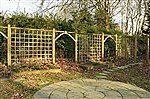 Woodland Garden
