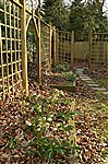 Woodland Garden