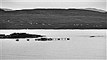 Whiddy Island Jetty