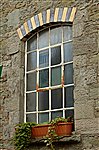 Window