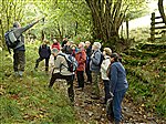Walking Groups