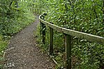 Pwll yr Wrach Reserve