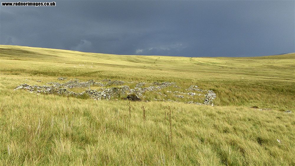 Afon Tawe