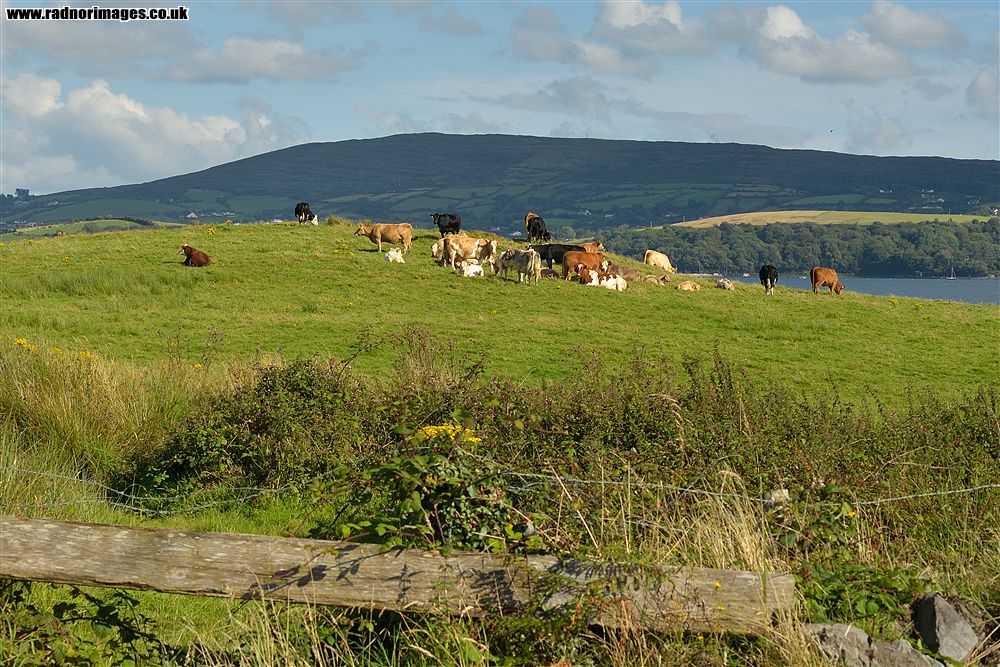 Bantry Bay