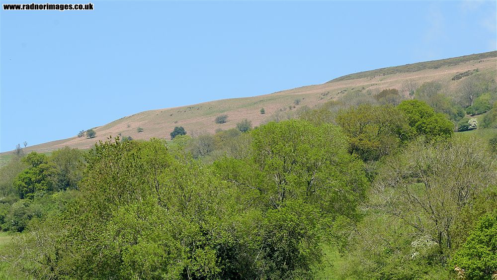 Black Mountains