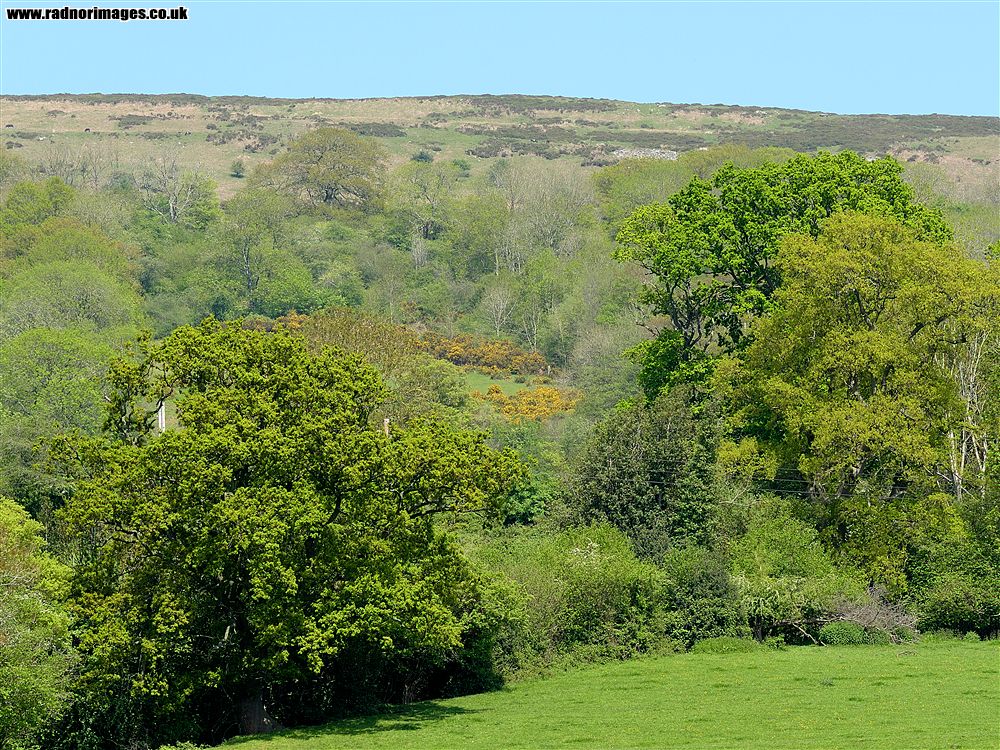 Black Mountains