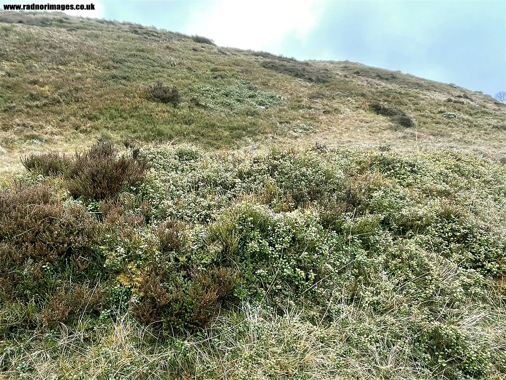 Black Mountains