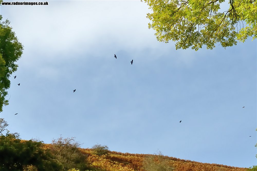 Black Mountains