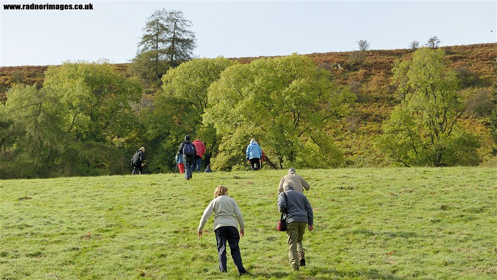Black Mountains