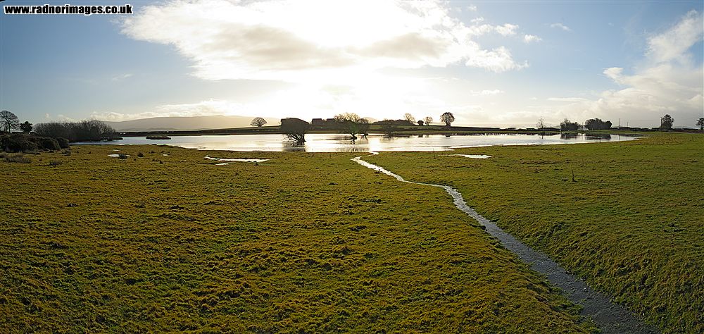 Brechfa Common