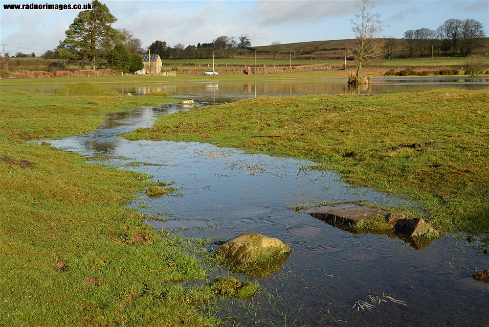 Brechfa Common