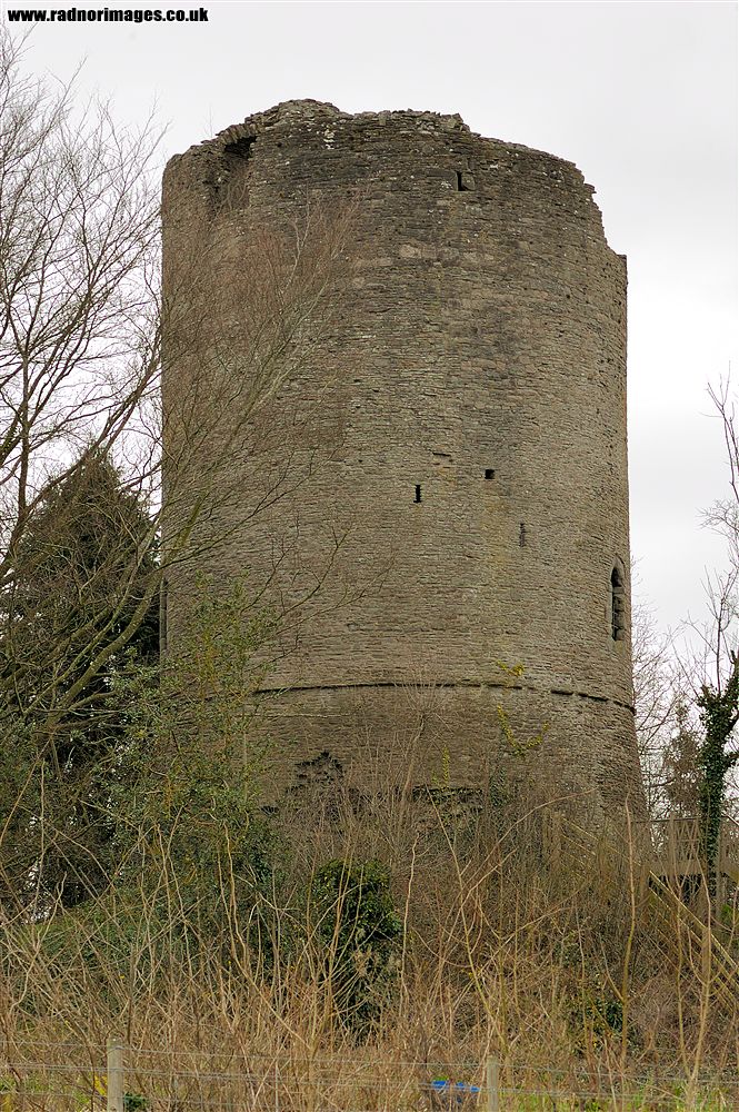 Bronllys