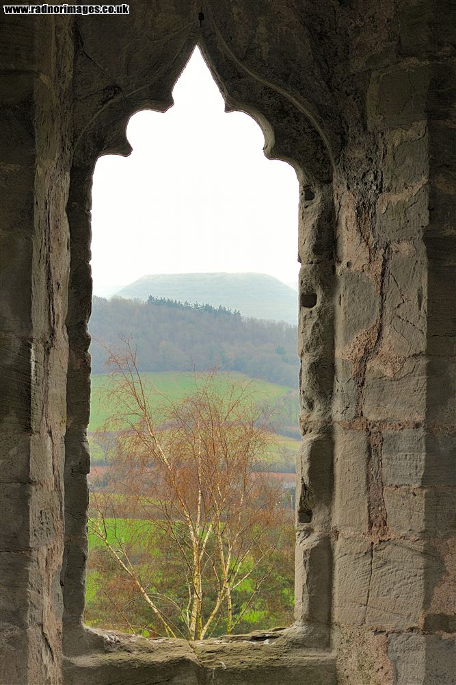 Bronllys