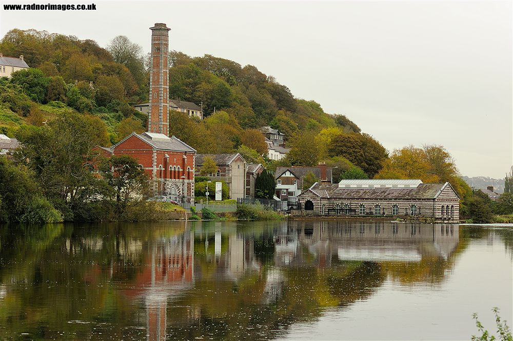 Cork