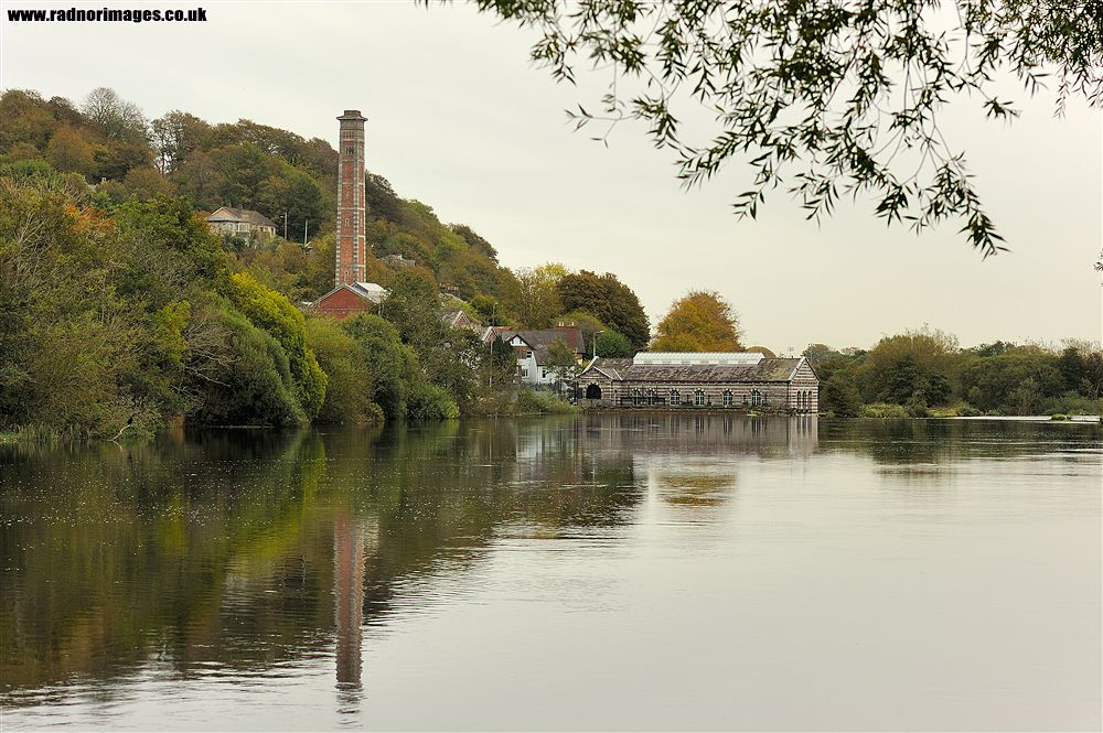 Cork