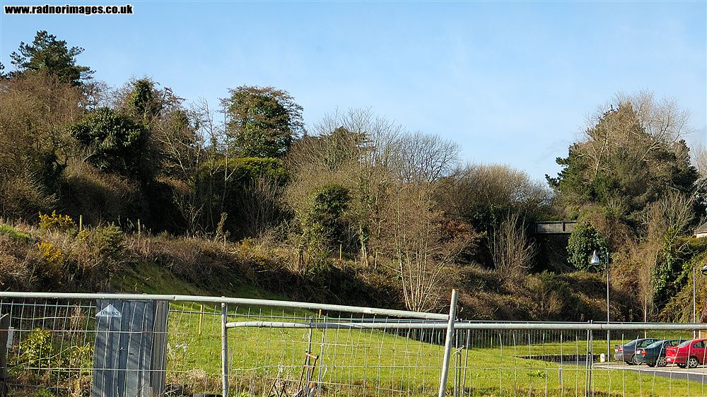Cork, Bandon and South Coast Railway