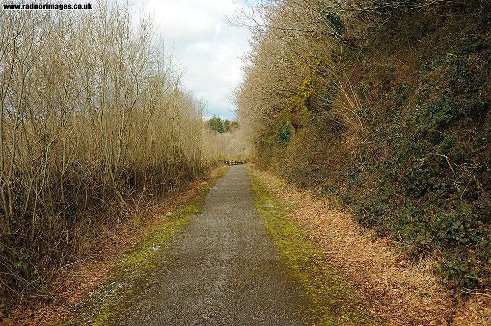 Cork, Bandon and South Coast Railway